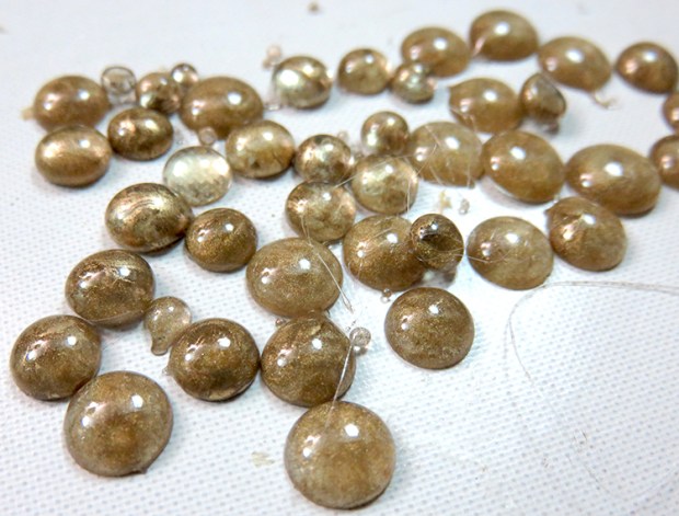 1.5.3 - IMG_7285_low